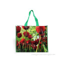 High quality fruit pp woven shopping bag